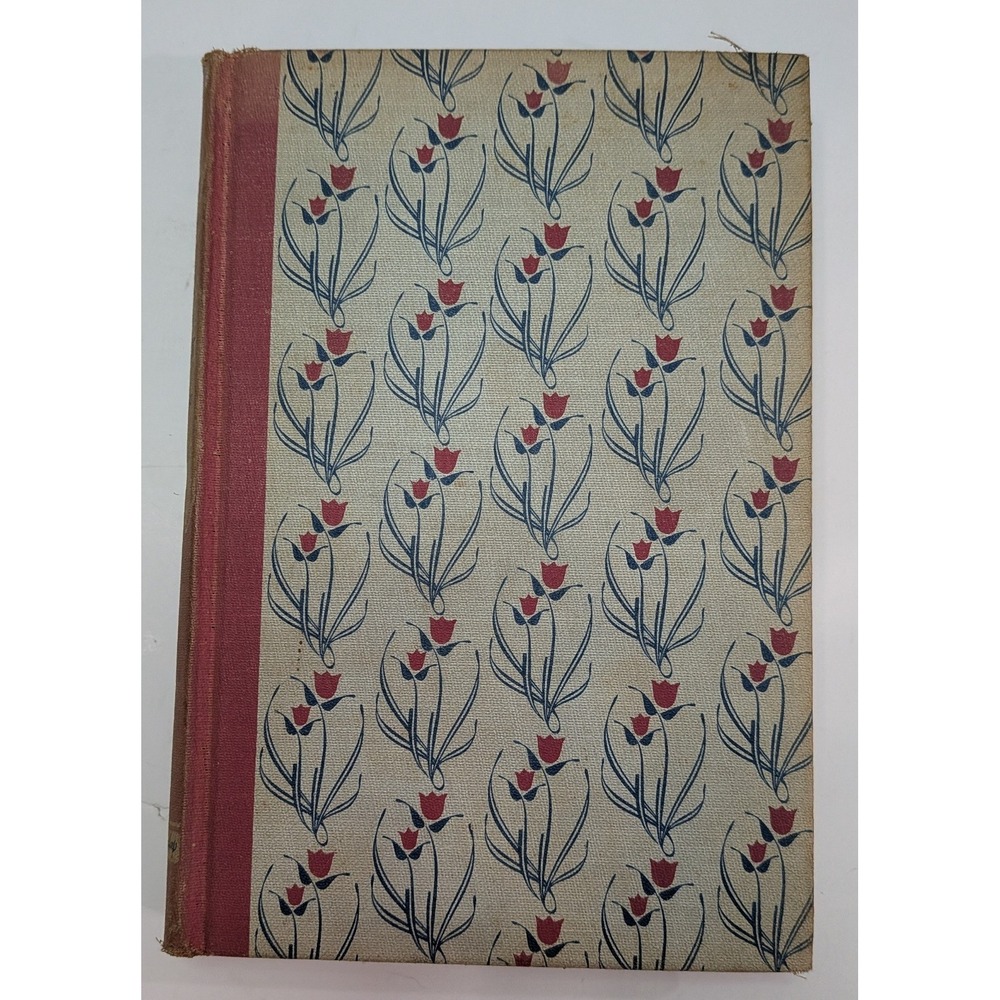 Grosset & Dunlap Hans Brinker Book Childrens OS Pink Fair Vintage Illustrated